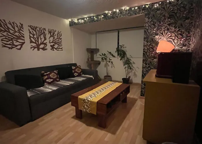 Cerca Del Centro De Coyoacan, Departamento Planta Baja Con Jardin Apartment *